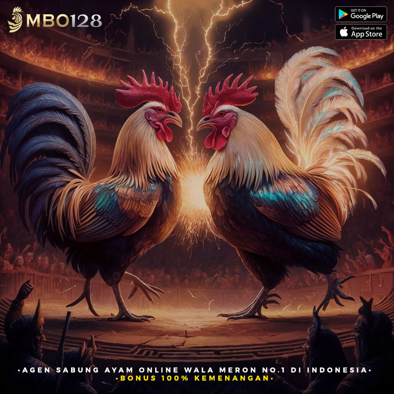 GA28 # Agen Sabung Ayam Online Wala Meron No.1 di Indonesia